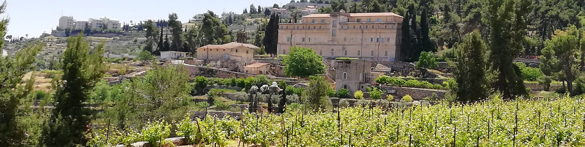 Weingut im Heiligen Land